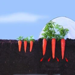 Kweekfolie / Tunnelfolie - 2 × 10 M -Goedkope Kruiden Zaden Winkel 1534088192 2 600