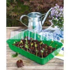 Zaaischaal Met Deksel 36 × 22 × 13 Cm 3 Zaaischaal Met Deksel 36 × 22 × 13 Cm -Goedkope Kruiden Zaden Winkel 1552249425 1 600