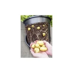 ESSCHERT DESIGN Aardappelpot - PotatoPot - 12 Liter 5 ESSCHERT DESIGN Aardappelpot - PotatoPot - 12 Liter -Goedkope Kruiden Zaden Winkel 1579855339 2 600