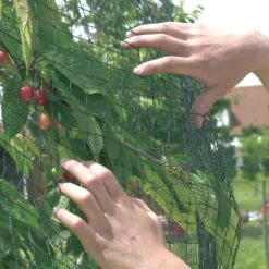 Vogelnet Beschermnet - Pronet 5 × 6 M