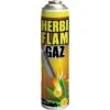 BSI HerbiFlam Gas Onkruidbestrijding - 600 Ml