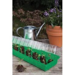 Kweekkas Met 20 Kokos Tabletten - 54 × 15 × 12 Cm -Goedkope Kruiden Zaden Winkel 1645094583 1 600