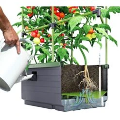 Kweekbak City Jungle Basic Met Klimframe -Goedkope Kruiden Zaden Winkel 1677572003 2 600