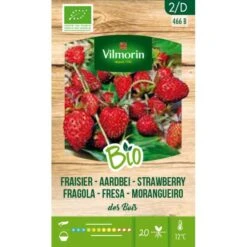 Aardbei Des Bois BIO