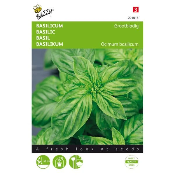 Basilicum Grove - Ocimum Basilicum 1 Basilicum Grove - Ocimum Basilicum