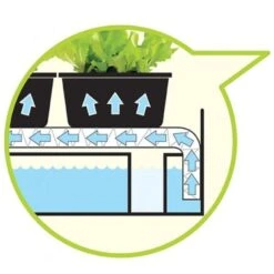 Bewateringstray + Vloeidoek 57 × 39 × 5 Cm 5 Bewateringstray + Vloeidoek 57 × 39 × 5 Cm -Goedkope Kruiden Zaden Winkel bewateringstray vloeidoek 1484057777 2 600