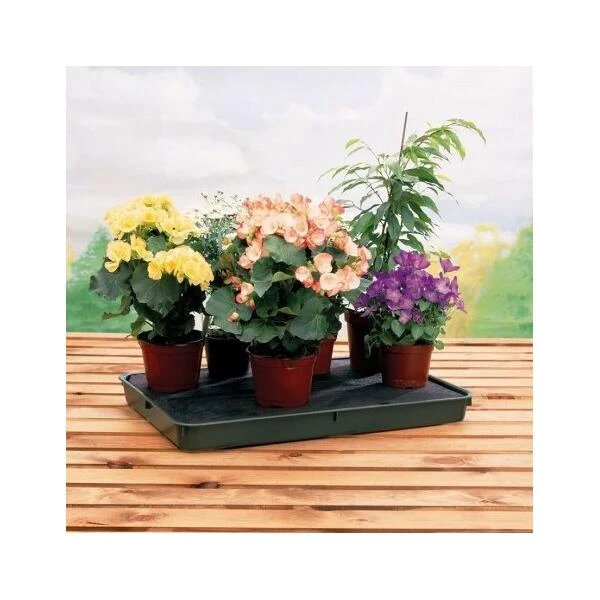 Bewateringstray + Vloeidoek 57 × 39 × 5 Cm 4 Bewateringstray + Vloeidoek 57 × 39 × 5 Cm - Afbeelding 4