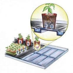 Bewateringstrays Met Vloeidoek - Set Van 2 Stuks 4 Bewateringstrays Met Vloeidoek - Set Van 2 Stuks -Goedkope Kruiden Zaden Winkel bewateringstrays 1484056270 1 600