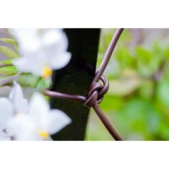 Bindbuis Elastisch Ø 2,5 Mm - Bruin 40 M -Goedkope Kruiden Zaden Winkel bindbuis bruin 135 g 1484066131 2 600