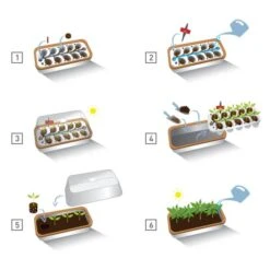 Binnenkas BoQube Plus Romberg - 41 × 17 × 23 Cm 10 Binnenkas BoQube Plus Romberg - 41 × 17 × 23 Cm -Goedkope Kruiden Zaden Winkel binnenkas boqube 41 x 17 x 23 cm 1656509792 5 600