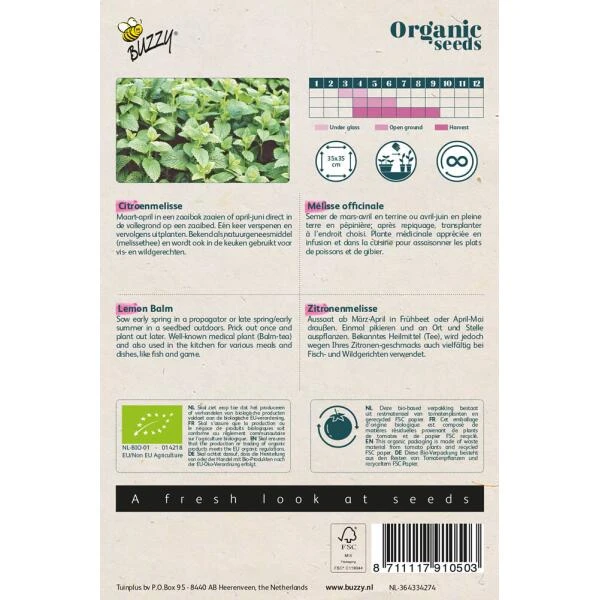 Citroenmelisse BIO 2 Citroenmelisse BIO - Afbeelding 2