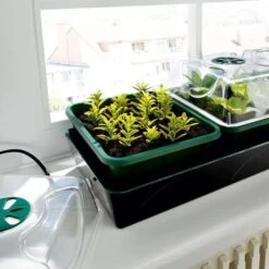 Elektrische Vensterbankkas Met Waterreservoir 6 Elektrische Vensterbankkas Met Waterreservoir -Goedkope Kruiden Zaden Winkel elektrische kweekset 1674116048 2 600