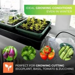 Elektrische Vensterbankkas Met Waterreservoir 9 Elektrische Vensterbankkas Met Waterreservoir -Goedkope Kruiden Zaden Winkel elektrische kweekset 1674116048 5 600