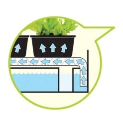 Groeilicht Met Kweekset - Wit -Goedkope Kruiden Zaden Winkel groeilicht met kweekset wit 1484067835 2 600