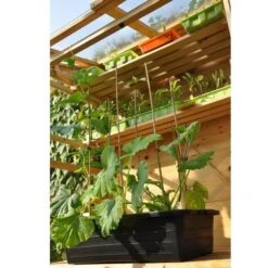 Kweekbak 40 Liter -Goedkope Kruiden Zaden Winkel grote kweekbak 40 liter 1484056513 1 600