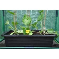 Kweekbak 40 Liter -Goedkope Kruiden Zaden Winkel grote kweekbak 40 liter 1484056513 5 600