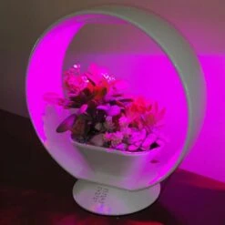 Mini Tuin Jardin Secret Met Verlichting En Bluetooth - Rond -Goedkope Kruiden Zaden Winkel jardin secret met bluetooth rond 1602065218 3 600