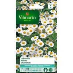 Kamille - Matricaria Chamomilla