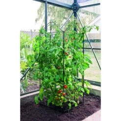 Klimplantensteun - Moduleerbare Steunpanelen -Goedkope Kruiden Zaden Winkel klimplantensteun rekken 1549797061 1 600