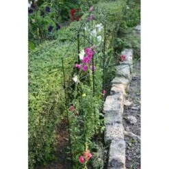 Klimplantensteun - Moduleerbare Steunpanelen -Goedkope Kruiden Zaden Winkel klimplantensteun rekken 1549797641 1 600