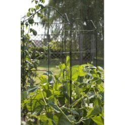 Klimplantensteun - Moduleerbare Steunpanelen -Goedkope Kruiden Zaden Winkel klimplantensteun rekken 1549797641 2 600