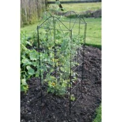 Klimplantensteun - Moduleerbare Steunpanelen -Goedkope Kruiden Zaden Winkel klimplantensteun rekken 1549797641 3 600