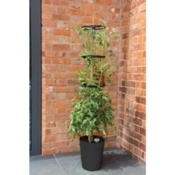 Tomatentoren 150 Cm Met Bewateringssysteem - Grijs -Goedkope Kruiden Zaden Winkel klimplantentoren met bewateringssysteem 1519073384 2 600