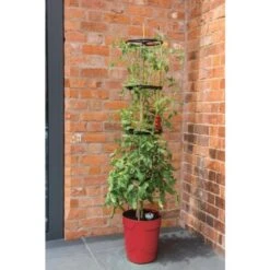 Tomatentoren Met Bewateringssysteem - 150 Cm -Goedkope Kruiden Zaden Winkel klimplantentoren met bewateringssysteem 1519074088 1 600
