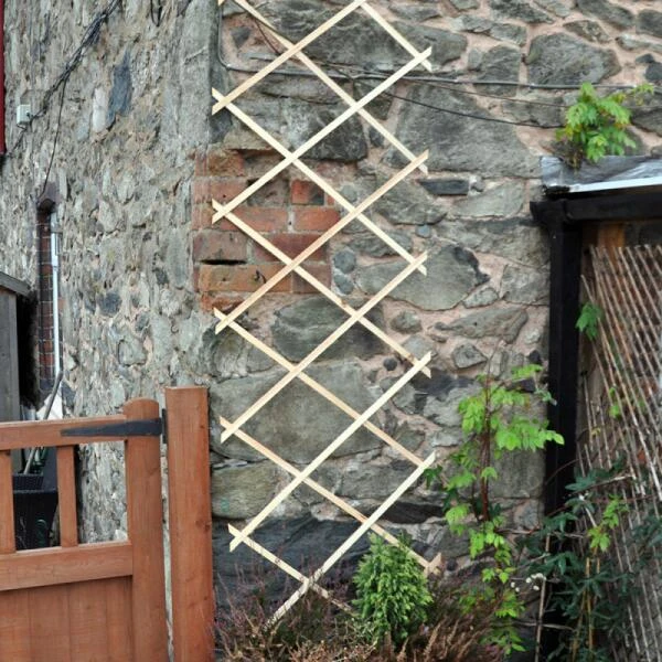 Klimplantgeleider - 60 × 200 Cm 1 Klimplantgeleider - 60 × 200 Cm