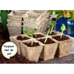 Vezelpotjes Vierkant Biologisch Afbreekbaar - 5 × 5 Cm - Set Van 36 Stuks -Goedkope Kruiden Zaden Winkel kokos potjes vierkant 5 cm 1519297635 1 600