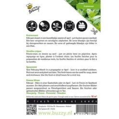 Kruizemunt - Mentha Spicata -Goedkope Kruiden Zaden Winkel kruizemunt mentha spicata 1646840313 38 600