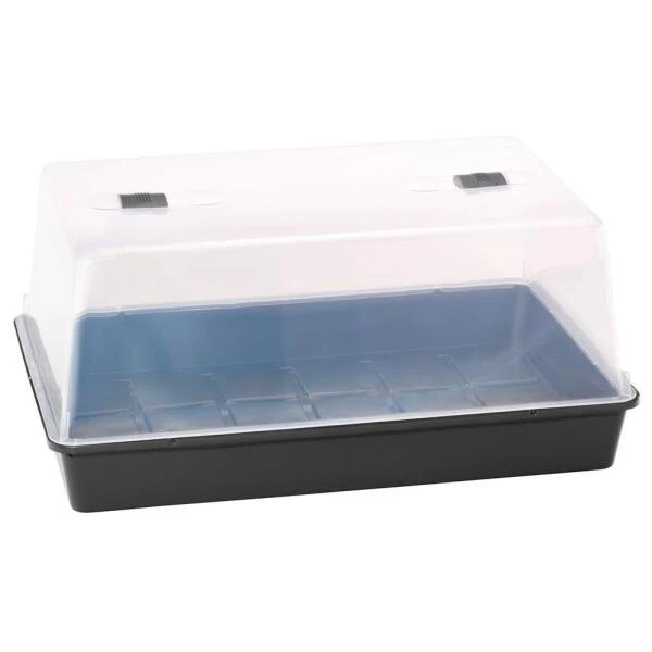 Kweekkas XXL Met Deksel - 59 × 39 × 27 Cm 1 Kweekkas XXL Met Deksel - 59 × 39 × 27 Cm