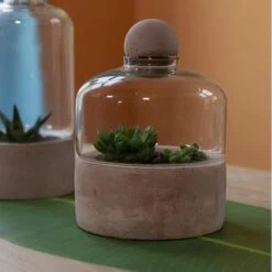 ESSCHERT DESIGN Kweekstolp Glas Op Betonbasis -Goedkope Kruiden Zaden Winkel kweekstolp glas op betonbasis 1628768694 1 600