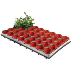 Tray Met 40 Kweekpotjes 6 Cm -Goedkope Kruiden Zaden Winkel kweektray 40 potjes 6 cm 1599819541 1 600