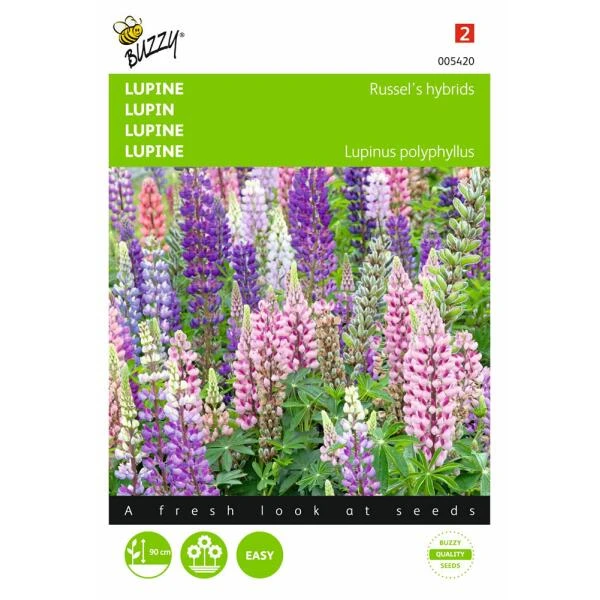 Lupinus Polyphyllus Russells Hybrids Mix 1 Lupinus Polyphyllus Russells Hybrids Mix