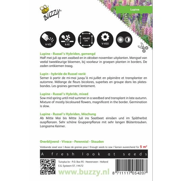 Lupinus Polyphyllus Russells Hybrids Mix 2 Lupinus Polyphyllus Russells Hybrids Mix - Afbeelding 2
