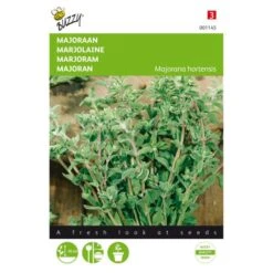 Majoraan - Origanum Majorana