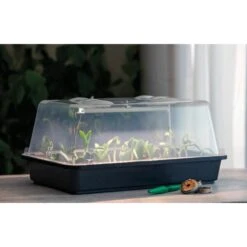 Mini Broeikas Met Groeilicht LUMIO LED - M 38 X 24 X 19 Cm