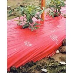 Rode Folie Voor Een Betere Plantengroei -Goedkope Kruiden Zaden Winkel mulchfolie 1577621345 1 600