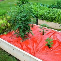 Rode Folie Voor Een Betere Plantengroei -Goedkope Kruiden Zaden Winkel mulchfolie 1577621986 1 600