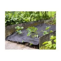 Mulchvlies - Aardbeifolie 1,5 M × 5 M -Goedkope Kruiden Zaden Winkel mulchvlies 15 m x 5 m 1485338191 0 600