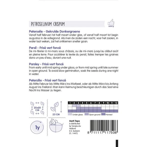 Peterselie - Petroselinum Crispum 2 Peterselie - Petroselinum Crispum - Afbeelding 2