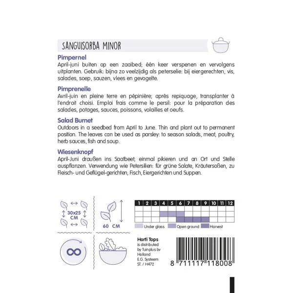 Pimpernel - Sanguisorba Minor 2 Pimpernel - Sanguisorba Minor - Afbeelding 2