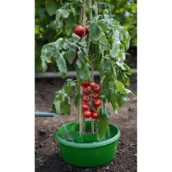 Plant- En Gietpot Groen - Set Van 3 Stuks -Goedkope Kruiden Zaden Winkel plant en gietpot 1484054799 4 600