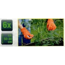 Plantenstaken Uitschuifbaar 50 Tot 80 Cm - Set Van 6 Stuks -Goedkope Kruiden Zaden Winkel plantenstaken uitschuifbaar 1573129550 1 600