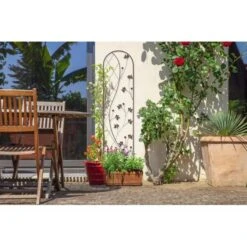 Plantensteun Ying En Yang Antraciet 35 × 150 Cm -Goedkope Kruiden Zaden Winkel plantensteun antraciet 35 x 150 cm 1626702196 2 600