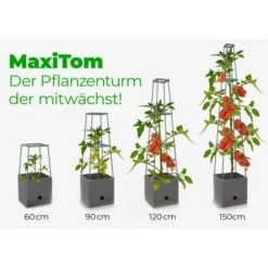 Plantentoren Maxitom Met Waterreservoir - Antraciet -Goedkope Kruiden Zaden Winkel plantentoren maxitom antraciet 1677571236 4 600