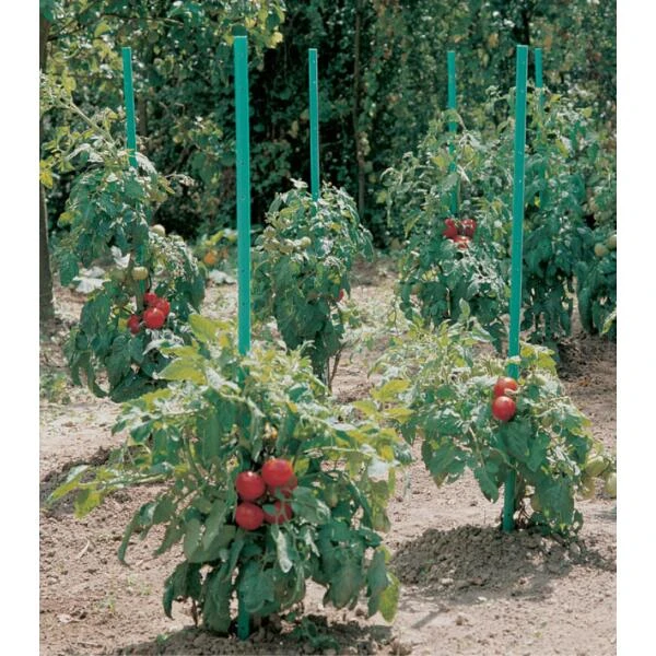 Plantensteun Voor Tomaten Met Waterreserve - 150 Cm 1 Plantensteun Voor Tomaten Met Waterreserve - 150 Cm