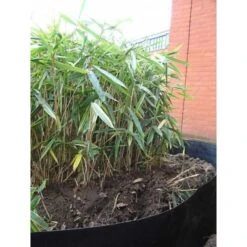 Rootblock Professionele Wortelwering 60 Cm Hoog - / Strekkende Meter -Goedkope Kruiden Zaden Winkel rootblock professionele wortelwering 1552733360 5 600