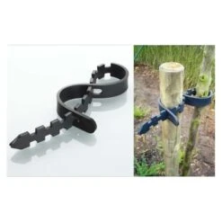 Rubberen Boombinder 60 Cm 4 Rubberen Boombinder 60 Cm -Goedkope Kruiden Zaden Winkel rubberen boombinder 60 cm 1484055927 2 600